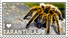 I Love Tarantulas Stamp